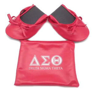 DST Foldable Ballerina Shoes