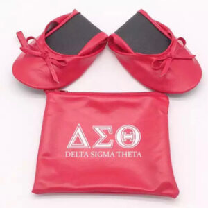 Foldable Ballerina Shoes